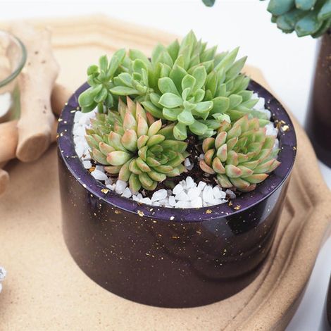 Moule rond en silicone et résine pour pots de fleurs et plantes succulentes - Moule en résine époxy cristal pour pots de fleurs à faire soi-même (1/5)