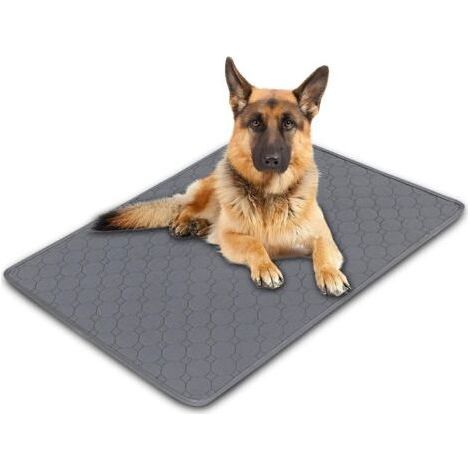 1 Pièce 70x100 cm Alese Chien Réutilisables pour Chiots, Alèse Chien pour Incontinence Lavables, Tapis Absorbant Chien, Absorption Rapide Paw Pad pour Chiens, Chats, Cobayes (1/5)