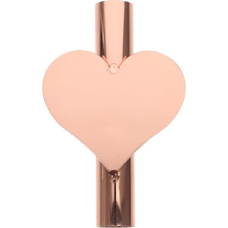 Vase mural en forme de cœur, tube métal pour fleurs, décoration minimaliste bureau et chambre (1/5)