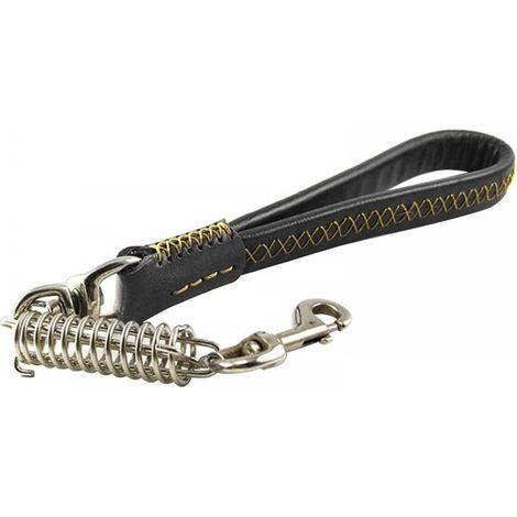 Short Dog Leash, Heavy Duty Leather Dog Leash with Carabiner, Pet Training Leash with Clip for Medium Dogs and Walking (1/5)