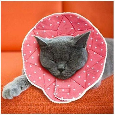 Komfortabler postoperativer Kragen für Katzen und Hunde, robust, wasserdicht, kratz- und bissfest, leicht zu reinigen, mit verstellbarem Verschluss