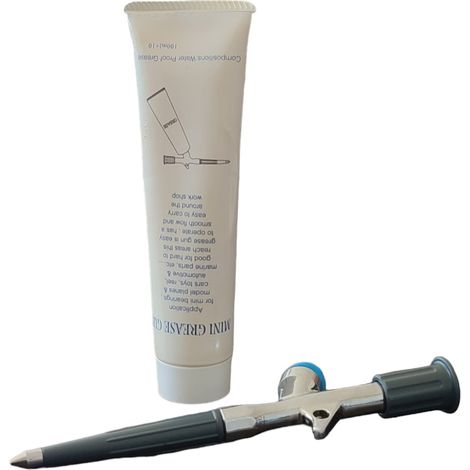 KIT COMPLETO PISTOLA INNIETTA GRASSO FLACONE 100ML VARI UTILIZZI INGRASSARE