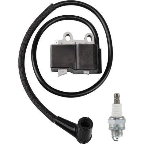 Bobine d'allumage compatible avec PB-500 PB-500H PB-500T A411001460 A411000420 (1/4)