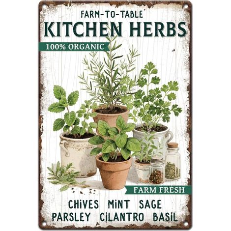 Plaques en métal vintage 20 x 30 cm Plaque rétro pour herbes de cuisine ferme à table Plantes d'herbes fraîches Poster pour chambre jardin cour maison cuisine magasin décoration murale (1/5)
