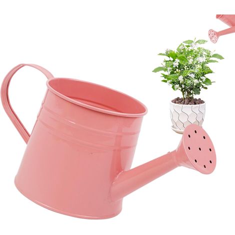 Arrosoir, 1 L, long bec, pour plantes, fleurs, bonsaïs et pots, en intérieur ou en extérieur.-AquaForge (1/5)