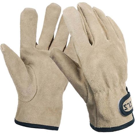 Gants de barbecue, gants de cuisine, gants d'extérieur, gants de camping pour hommes et femmes (1/5)