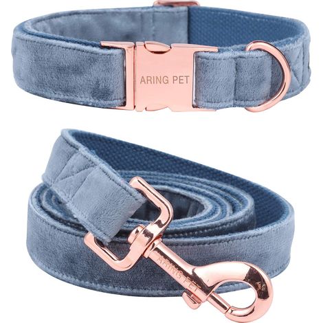 Collier et Laisse pour Chien, Collier et Laisse en Velours, Collier pour Chien et Laisse réglable pour Chiens de Petite Taille Moyenne. (1/5)
