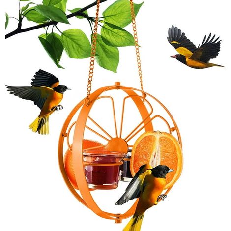 Oriole Feeder for Outdoors Jelly and Oranges Container Metal Oriole Bird Feeders, Wild Birds Feeder with Jelly and Fruit Holder, Hanging Feeder for Garden, Porch, Trees (1/5)