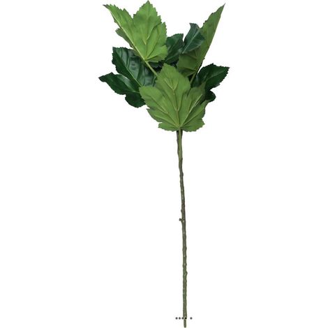 Branche de 6 feuilles de gombo artificielle, H96 cm