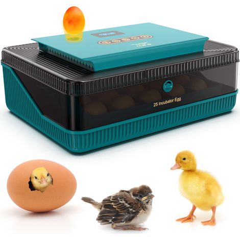 Incubadora para 25 huevos con volteador automático, indicador de temperatura y humedad, y comprobador de huevos LED. Apta para huevos de gallina, pato, codorniz, ganso y paloma. (1/5)