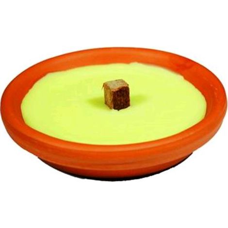 Ceri Citronella in Vaso Terracotta Cm.14X4H conf. 30 pezzi
