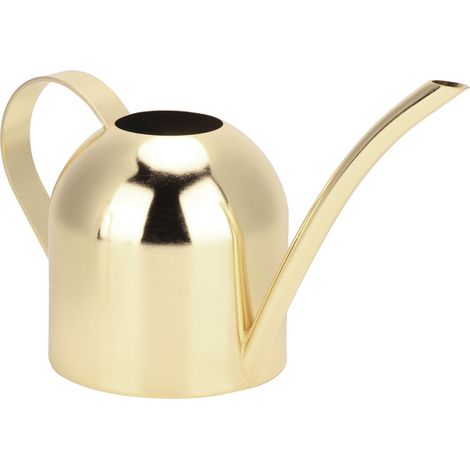 Arrosoir à long bec en acier inoxydable de 500 ml pour plantes d'intérieur et d'extérieur, couleur or (1/4)
