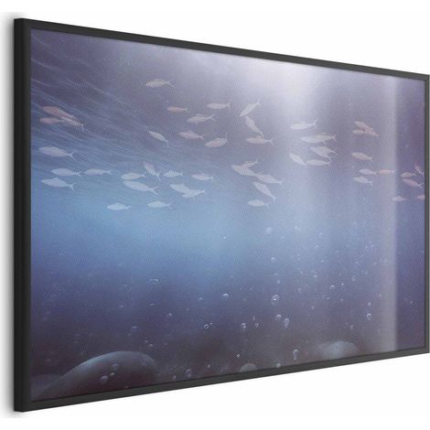 Poster – Fische in der Tiefe (1/4)