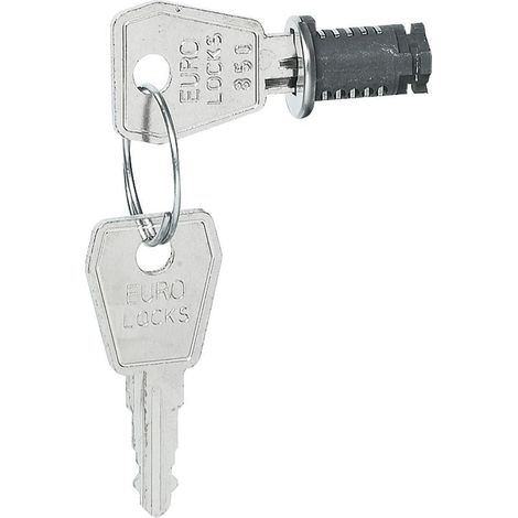 Cerradura con llave n.° 850 para cajas plexo³ LEGRAND 001966