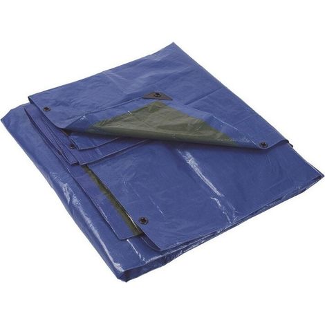 Bâche polyéthylène Mondelin vert/bleu
