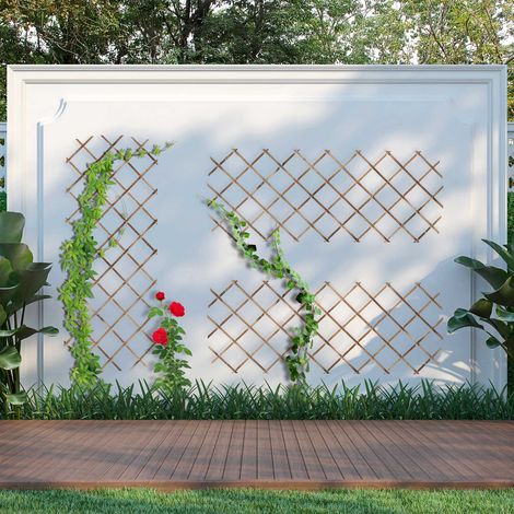 Ensemble de treillis extensibles pour plantes, 180 x 90 cm, lot de 3 (1/5)
