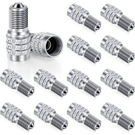 Lot de 16 Capuchons Valve Double Flux Pour Pneus Haute Pression Camion Voiture Caravane Bus RV 4x4 (1/5)