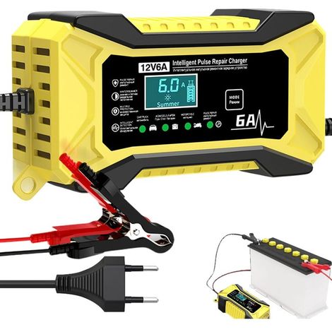 Chargeurs de Batterie Automobile 12 Volts - Chargeur d'entretien (1/5)