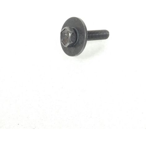 schraube m6 steigung 100 l25mm 09116-06131 für roller suzuki 250 (1/4)