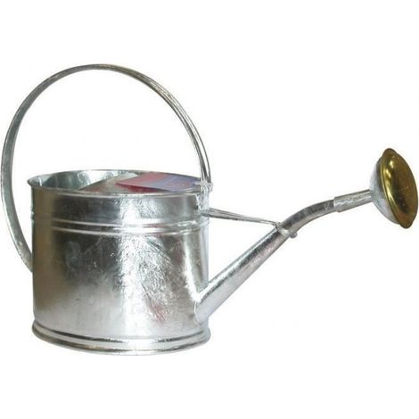 Arrosoir - Ovale - Galvanisé - 1.75 L - Avec Pomme