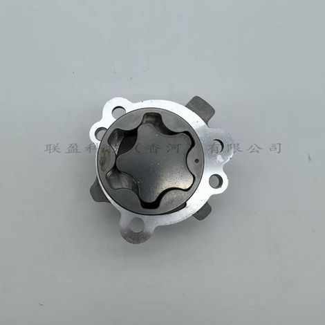 2131003910 Anwendbar auf Hyundai und Kia Motorölpumpenbaugruppe 21310-03910 (1/4)