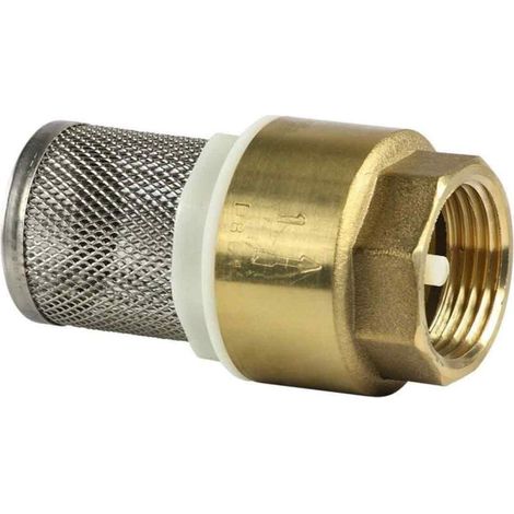 Clapét crépine laiton "york" 2 pouces pour pompage arrosage -vanne de base en cuivre pour pompe à eau (1/5)