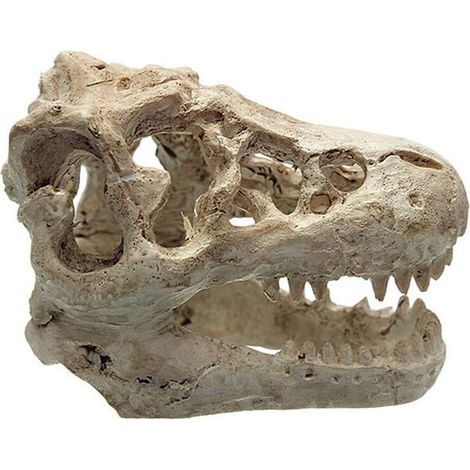 Aquarium Decor Aquarium Decoration Resin Simulation Dinosaur Head Aquarium Decor for Fish Lizard Reptile Hide Cave Aquarium Decoration