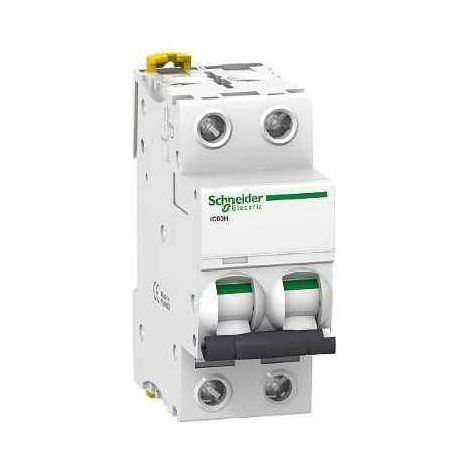 Disjoncteur automatique iC60H 2P 10A courbe-C