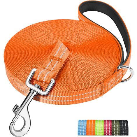 Longe pour Chien, 10M Laisse de Dressage, Rembourrée, Durable et Léger, Longe pour Petit, Moyen et Grand Chien,2cm (1/5)