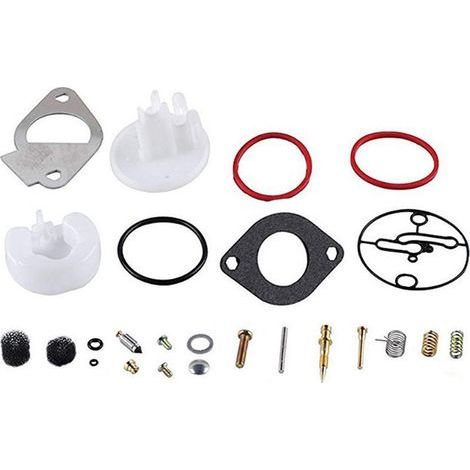 Rasenmäher-Vergaser-Reparatursatz, kompatibel mit Briggs & Stratton 796184 698787 (1/5)