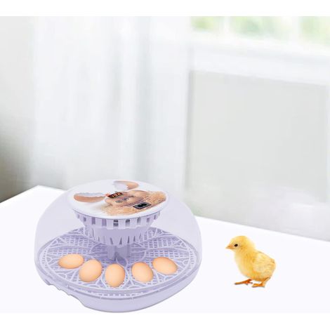 Brutkasten für 12 Eier, Brutmaschine mit vollständiger Temperaturregelung, automatischer Brutkasten, automatischer Eierwender mit LCD-Display für Hühner-, Enten-, Tauben- und Wachteleier (1/5)