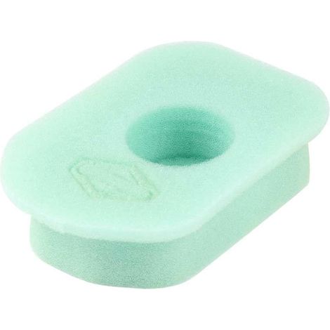 Filtro Air BRIGGS et STRATTON 270579 (1/3)