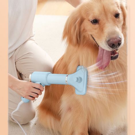 Sèche-cheveux Pour Animaux - Sèche-cheveux Grooming 2-en-1 Avec Brosse Détachable - 3 Régulations Débit/Air Chauffé - Usage Intérieur Et Extérieur - 1 Pièce