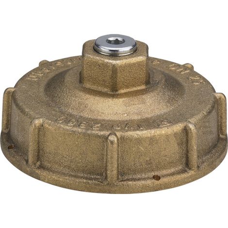 Viega Überströmkappe G2360 für Einstutzengaszähleranlage, Gasleitungsprüfung, mit Prüfstopfen, G 2", Messing (1/3)