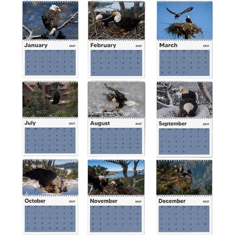 Romantischer 12-Monats-Wandkalender 2027 zum Aufhängen (1/5)