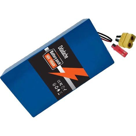 Pacco batteria agli ioni di litio, capacità 100 Ah, compatibile con biciclette elettriche, caricabatterie XT60-JST (1/2)