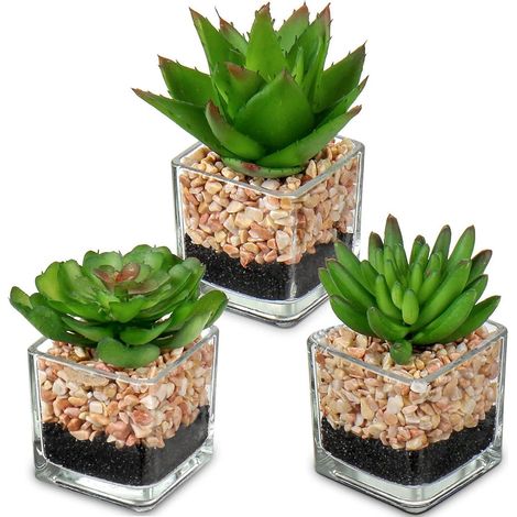 3PCS Künstliche Sukkulenten Kunstpflanze Glas Deko Wohnzimmer Büro Badezimmer (1/5)