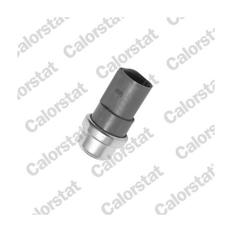 INTERRUPTEUR THERMIQUE TS2674 VERNET