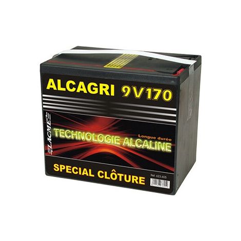 Pile 9V 170Ah – Technologie alcaline – Tension constante – Pour appareils électroniques exigeants (1/2)