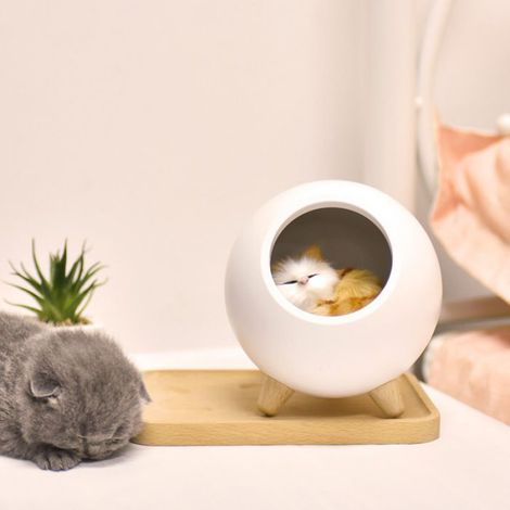 Veilleuse LED charge créative dessin animé veilleuse mignon chat mignon animal maison usb tactile atmosphère lumière chaL211 (1/3)