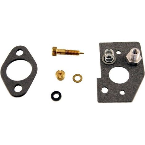 Kit membrane + joint de carburateur BRIGGS ET STRATTON