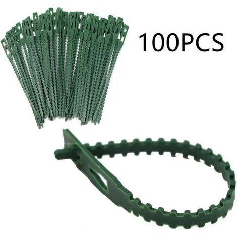 Plant Attachments - Sturdy Clips for Small and Large Shoots - Pack of 100 - Length 17 cm - Green (1/4)