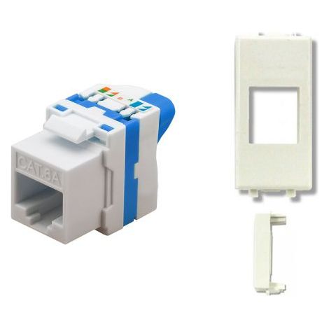 TechLy presa di rete RJ45 UTP CAT.6a tooless + Ave Domus bianca
