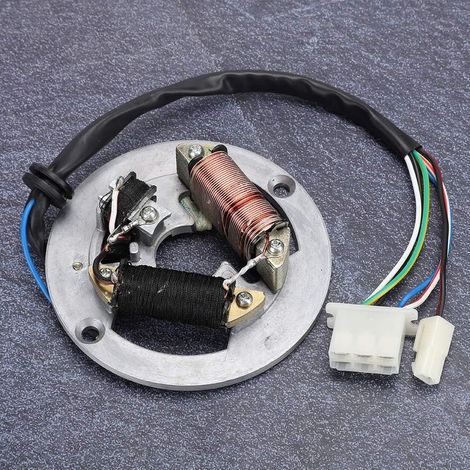Accessoire de Plaque de Stator Magnéto d'allumage à Double Bobine Compatible avec PW80-conception Légère Améliorée et Installation Facile (1/5)