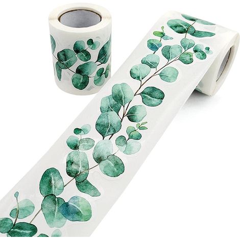 Bordures tableau affichage – motif feuilles eucalyptus – auto-adhésif – école bureau classe