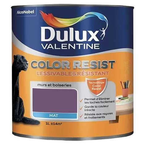 Dulux Valentine Peinture acrylique Color Resist Amethyste Mat 1 L (1/2)