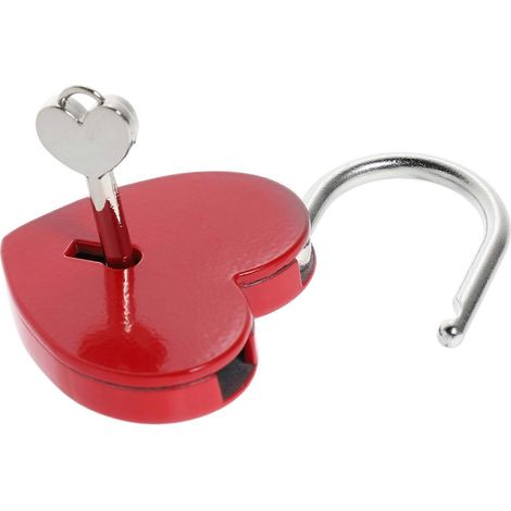 Cadenas à clé pour bagages, solution de sécurité portable pour valises, sacs à dos et casiers en voyage.-AquaForge (1/5)