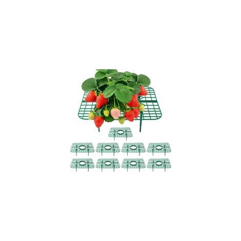 Support pour Plants de Fraises, 10 Supports carrés pour Maintenir Les Fraises Hors du Sol, Supports de Jardin réutilisables pour la Culture de Fraises en Plein air (1/5)