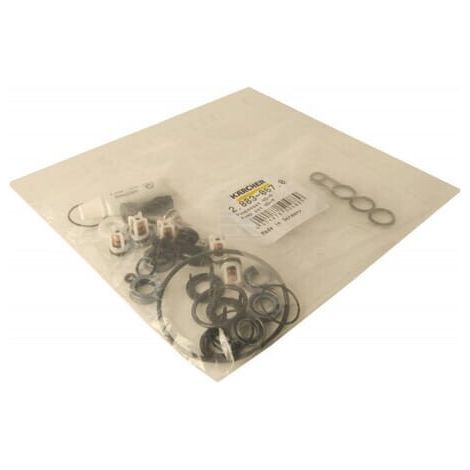 Kit de pompes KÄRCHER 28830670