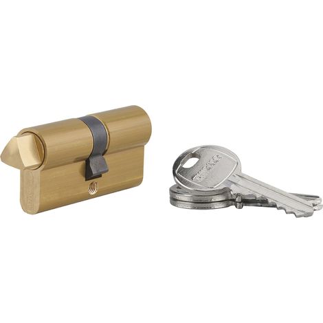 Cylindre triangle externe 14 profilé HG, 30x30mm, 3 clés, laiton - THIRARD (1/3)